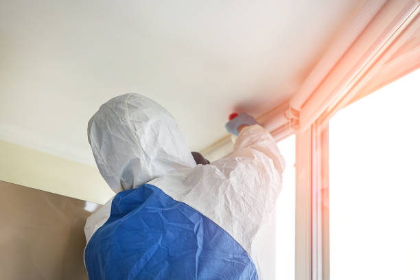 Best Commercial Mold Inspection  in Cleveland, OH