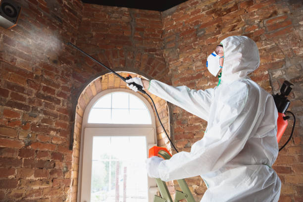 Trusted Cleveland, OH Mold Inspection Experts